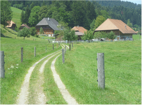 фото участка